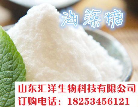 山东汇洋/福洋99%优质海藻糖生产厂家