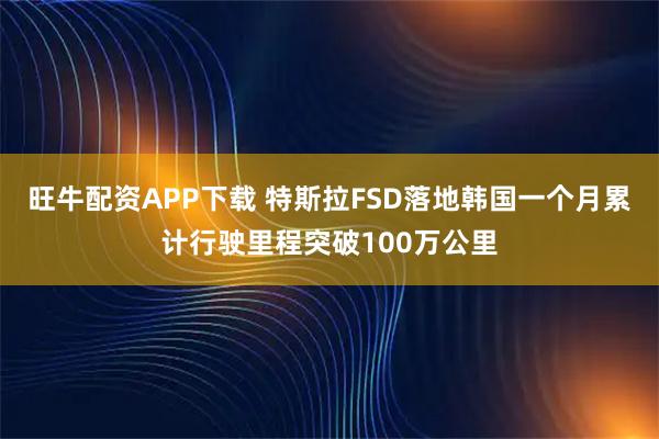 旺牛配资APP下载 特斯拉FSD落地韩国一个月累计行驶里程突破100万公里