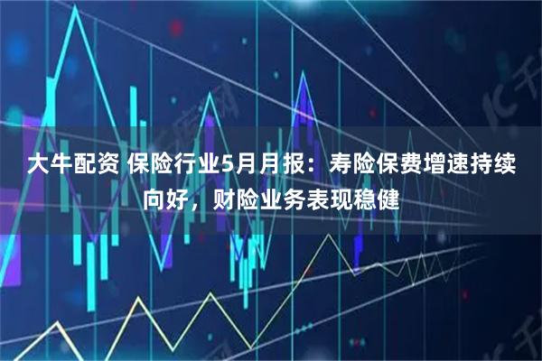 大牛配资 保险行业5月月报：寿险保费增速持续向好，财险业务表现稳健