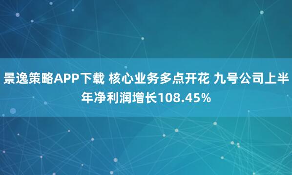 景逸策略APP下载 核心业务多点开花 九号公司上半年净利润增长108.45%